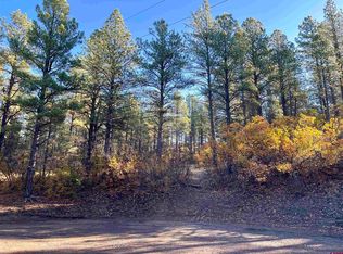 65 Chickadee Ct, Pagosa Springs, CO 81147