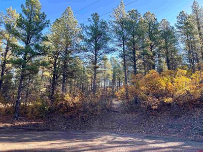 65 Chickadee Court, Pagosa Springs, CO, 81147