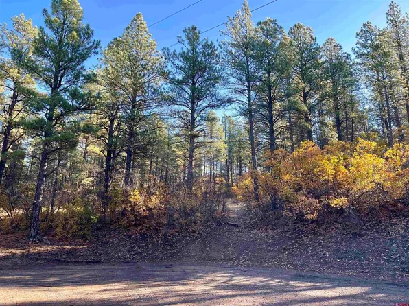 65 Chickadee Court, Pagosa Springs, CO 81147