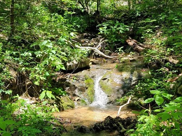 8-A-11 Mountain Music Ln, Elk Creek, VA 24326