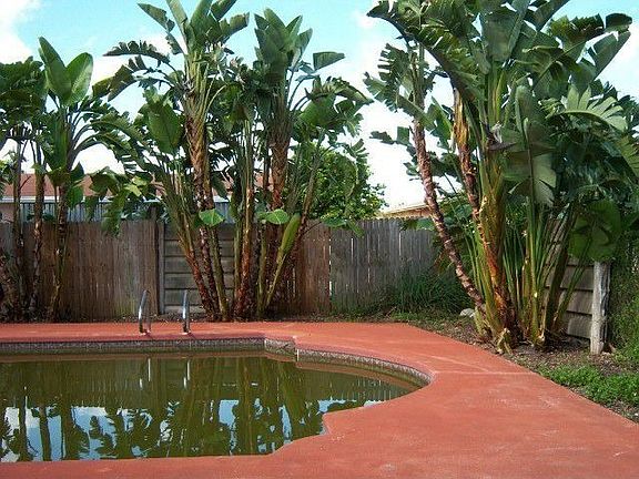 Rear Yard