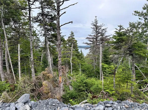 9-10 Pikes Road, Spread Eagle, NL A0B2W0