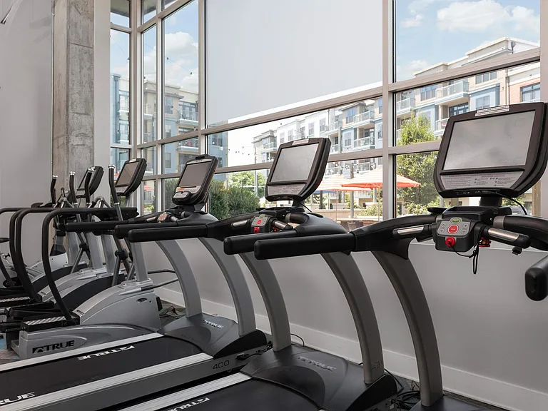 Cardio Equipment