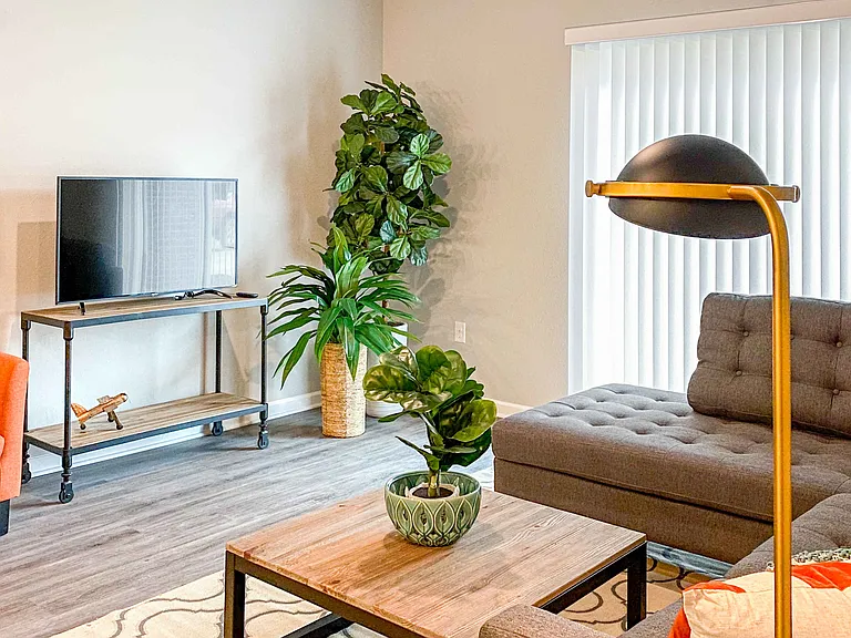 Latitude 41 — Photo 39