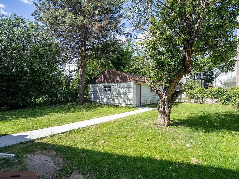Back yard