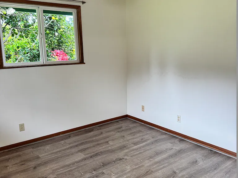 2608 Ala Olu Pl — Photo 11