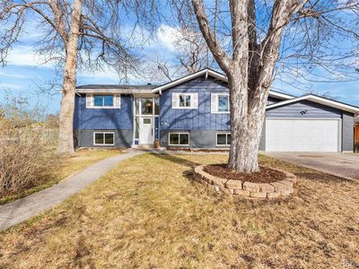 710 S Cody Street, Lakewood, CO, 80226