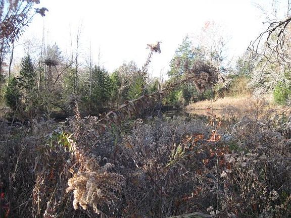5th image of 2607 Vz County Road 4912