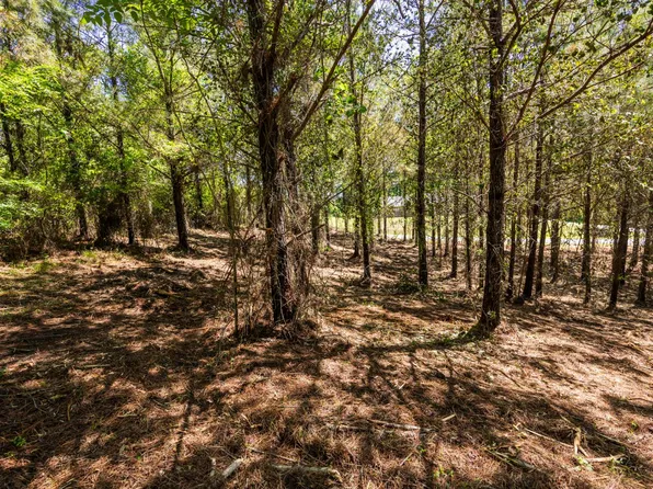 0 Burntfields Rd Tract 3, Fulton, MS 38843