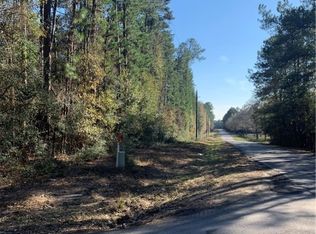 1060 Walnut Dr, Plantersville, TX 77363