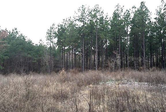 5th image of 4031 County Road 3707