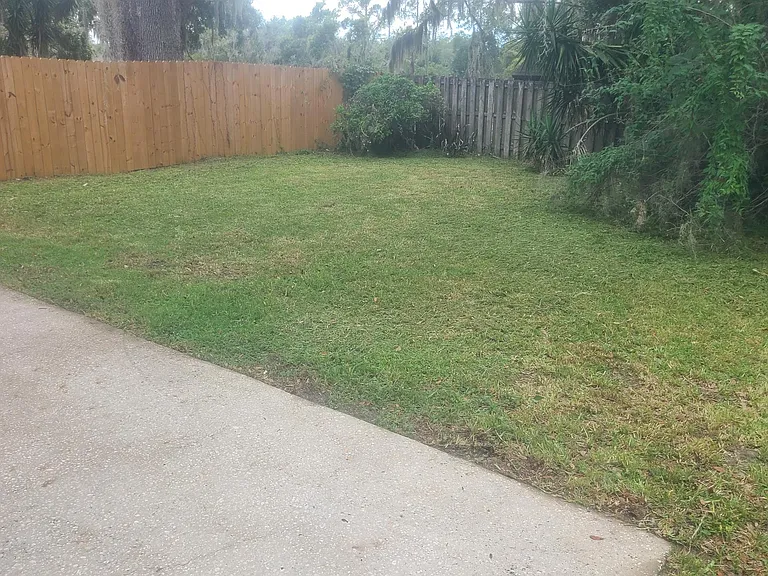 Backyard_07082026