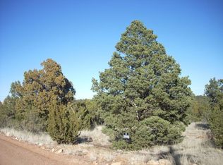 3337 Apache Dr, Overgaard, AZ 85933