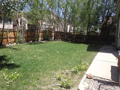 Mature Trees and Landscaping