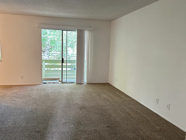 318 Gault St #6 — Photo 5