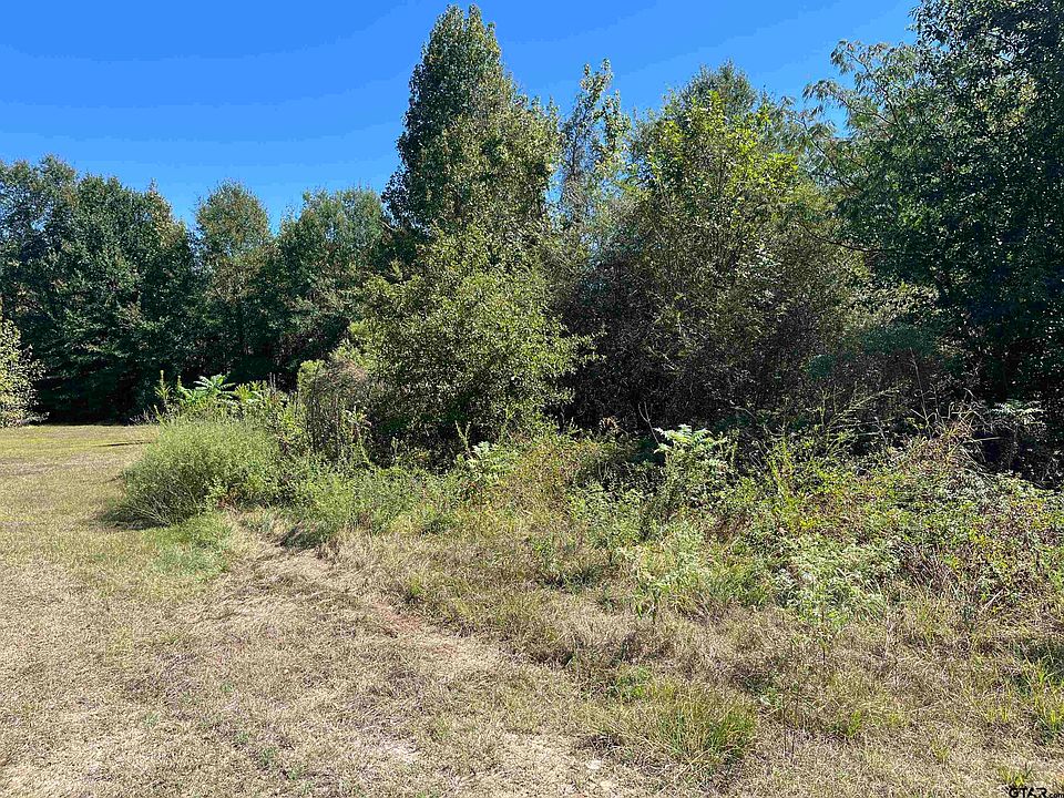 1st image of TRACT 1 Gene Dr