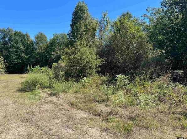 TRACT 1 Gene Dr, Mount Pleasant, TX 75455