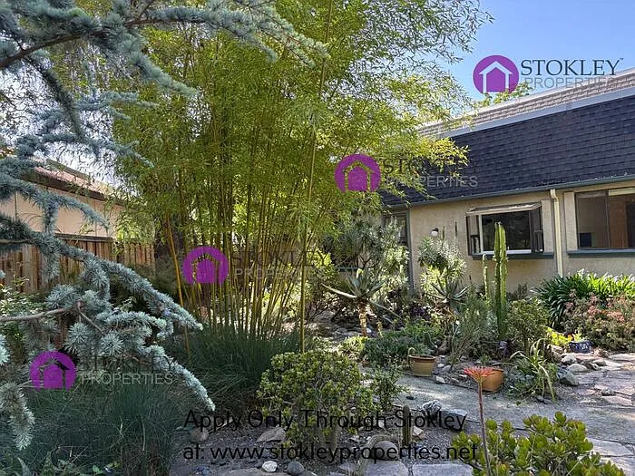 1484 Cortez Ct — Photo 42