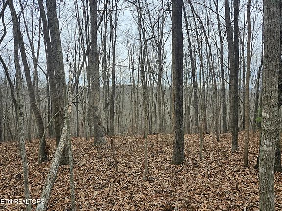 4th image of Peacock Ln