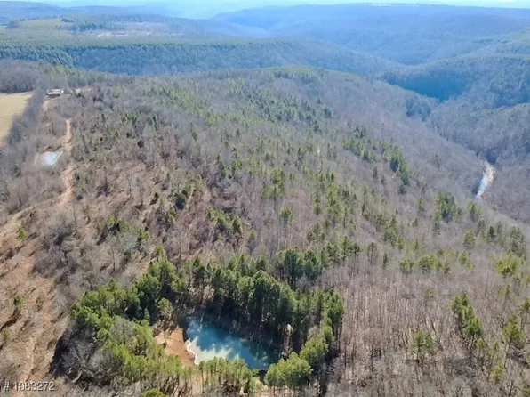 Old Brewer Rd N, Edgemont, AR 72044