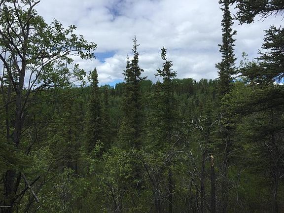2nd image of L4 B5 No Road Near Glennallen