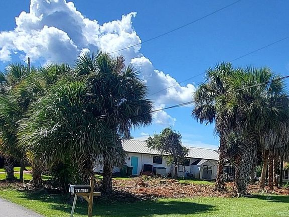 Beautiful palm trees!
