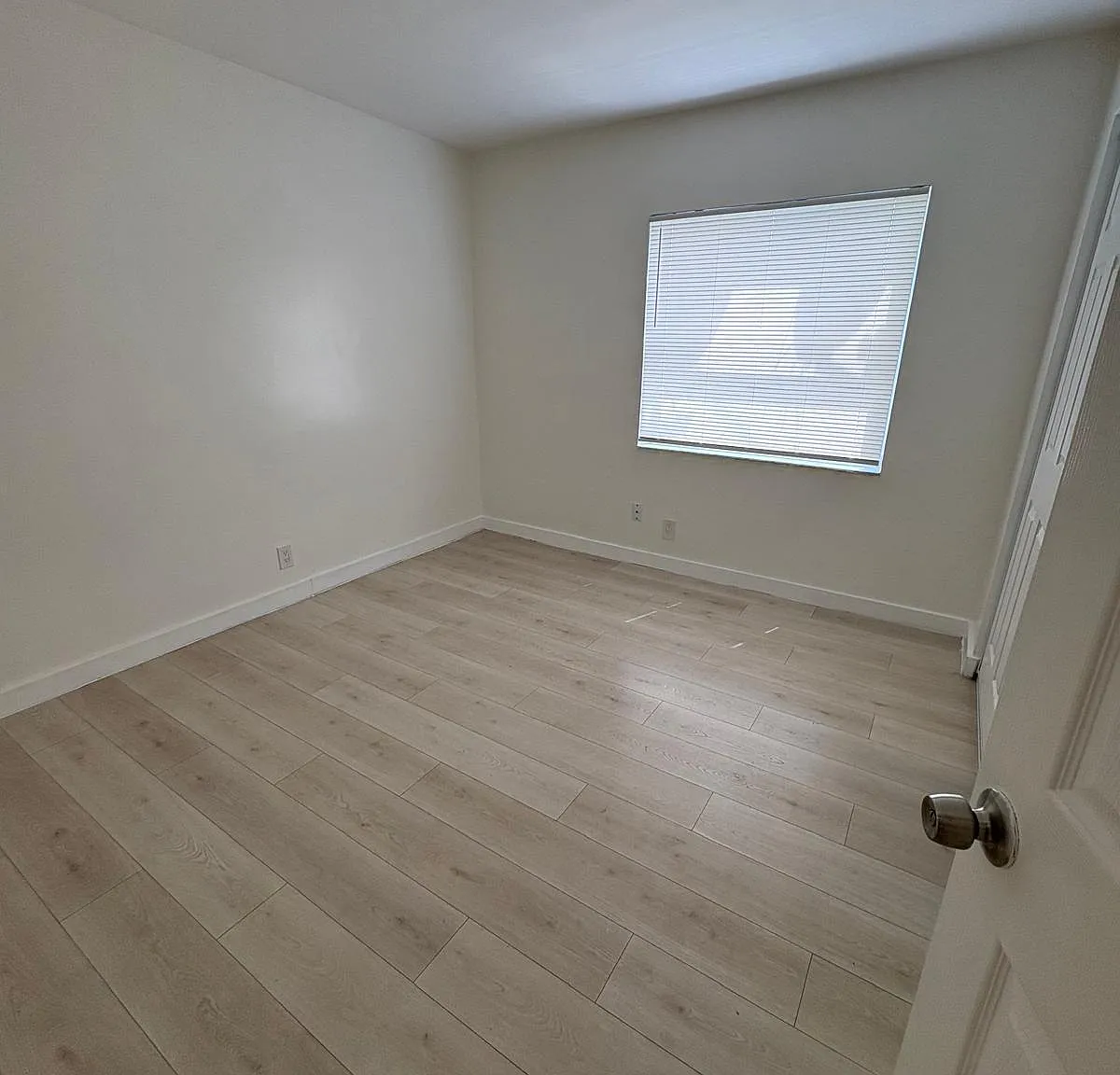 2 bed, 1.0 bath, 700 sqft, $1,845 — Photo 3