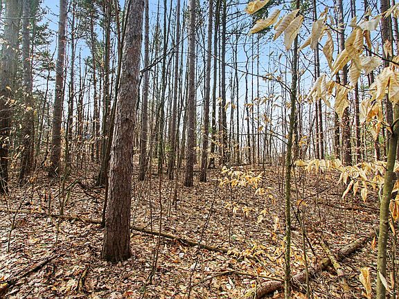 2nd image of 5818 Hunters Rdg