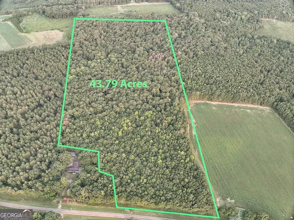 0 Coogle Rd, Oglethorpe, GA 31068