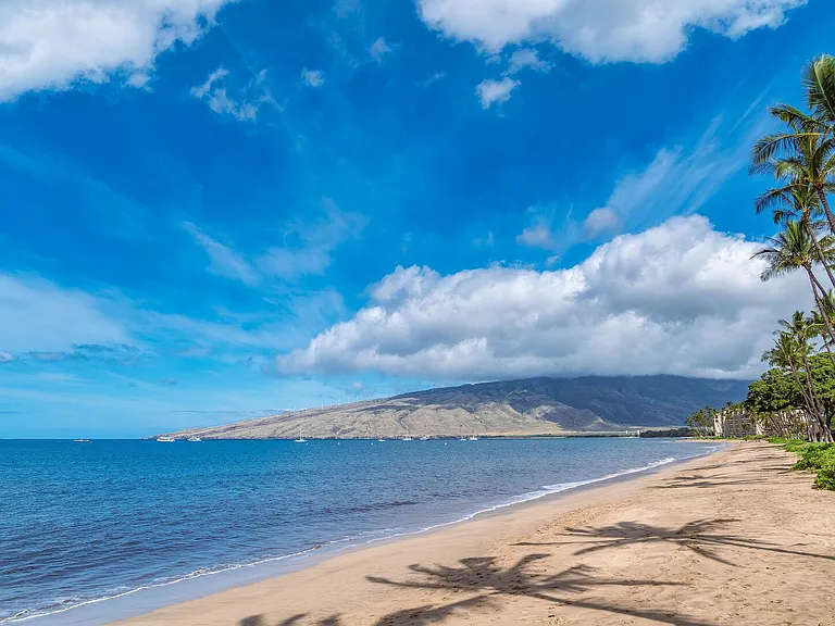 S Kihei Rd — Photo 40