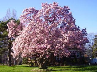 19256 Story Rd, Rocky River, OH 44116