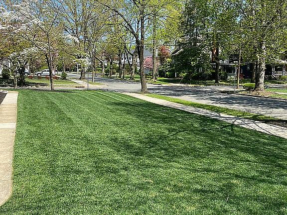 Open lawn Side 