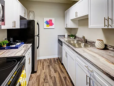 Monaco South 360 Tour