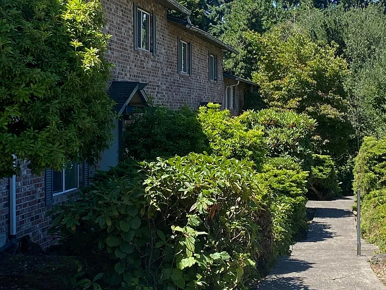Parkwood Court Apartments — Photo 22
