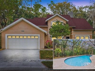 16105 Cambria Ct, Tampa, FL, 33647