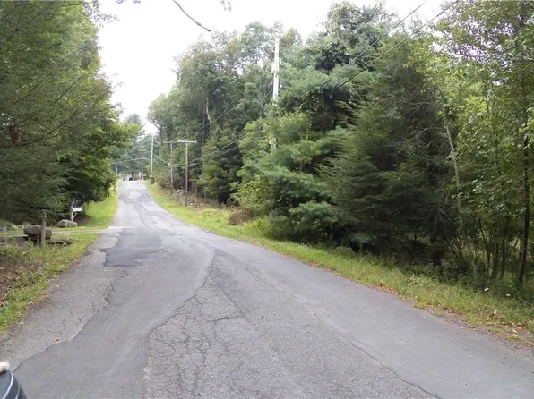 Painter Hill Road, Mountain Dale, NY 12763