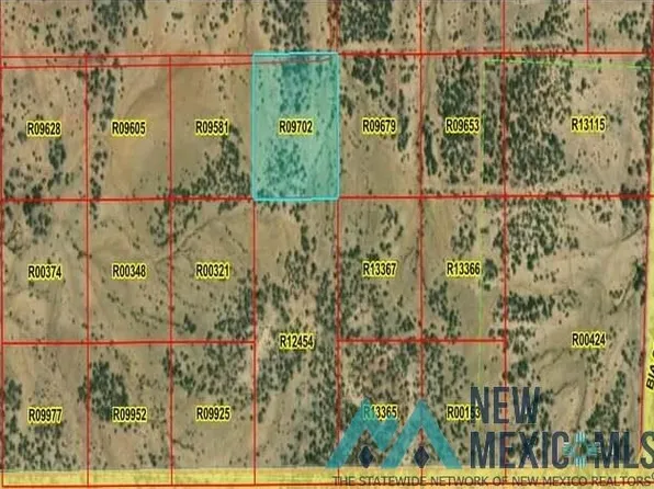 42 La Tinaja Trl, Pinehill, NM 87357