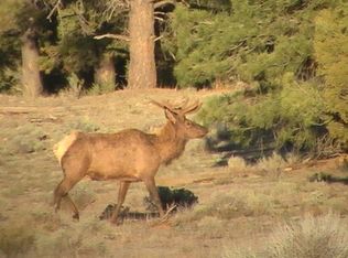 60 Cinder Cone Rd #53, Grants, NM 87020