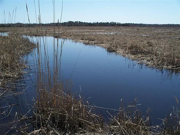 Fishing and crabbing
