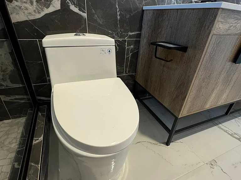 Guest bathroom
