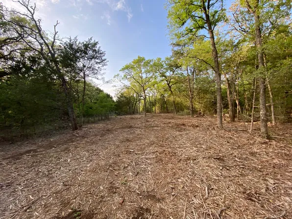PARCEL 2 Paffen Rd, Paige, TX 78659
