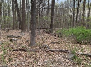 21 S Hill Rd, Hopewell, NJ 08525