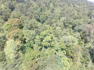 291 Bluff View Rd, New Tazewell, TN 37825