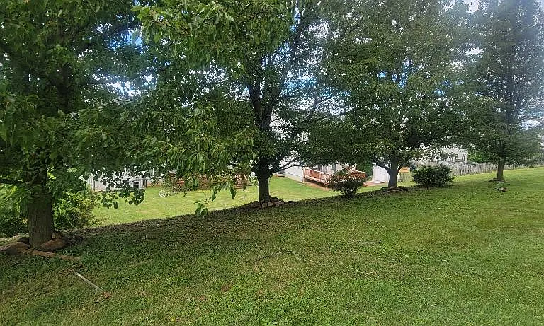 516 Lighthouse Rd — Photo 13