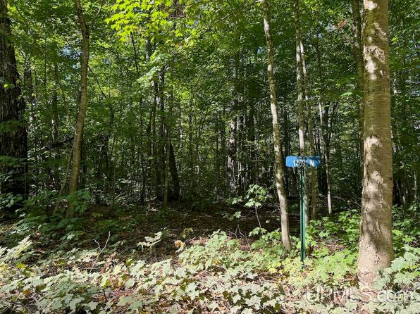 14691 N Crooked Lake Rd, Manistique, MI 49854