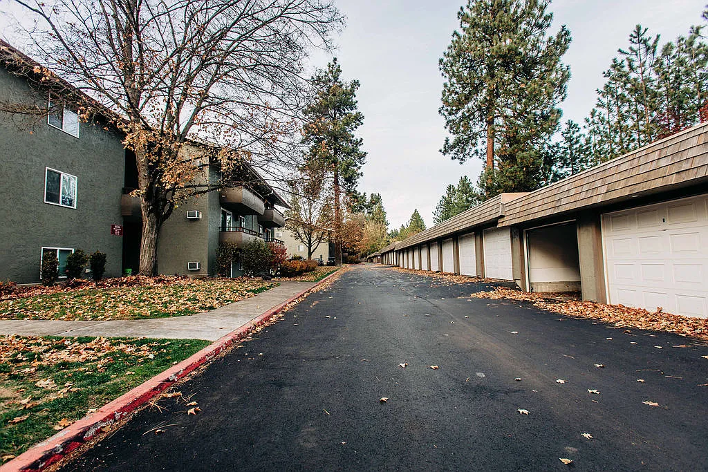 Treetop Apartments — Photo 4