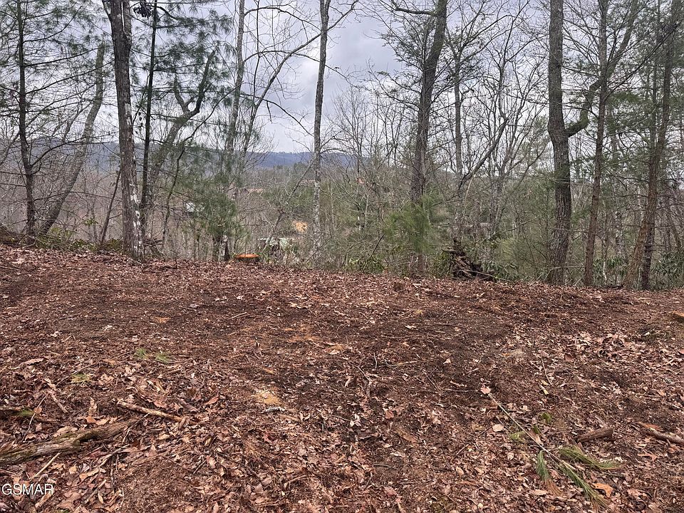 1st image of 2821 Cedar Falls Way