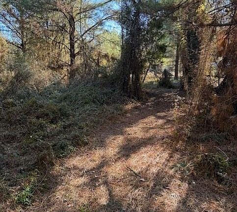 2nd image of 29 Jennie Ln