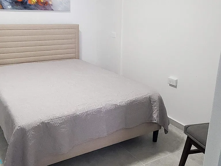 1656 Avenue Fernandez Juncos #A1 — Photo 4