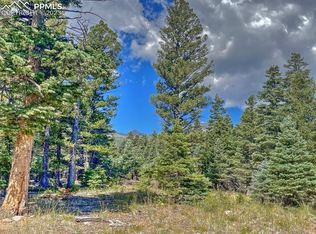 69 Gibson Rd, Westcliffe, CO 81252